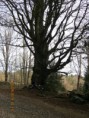 /album/fotogalerie/a2014-04-trasovani-017-jpg/